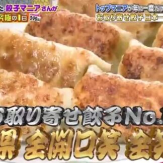 冷凍全笑餃子(60個入)3袋分